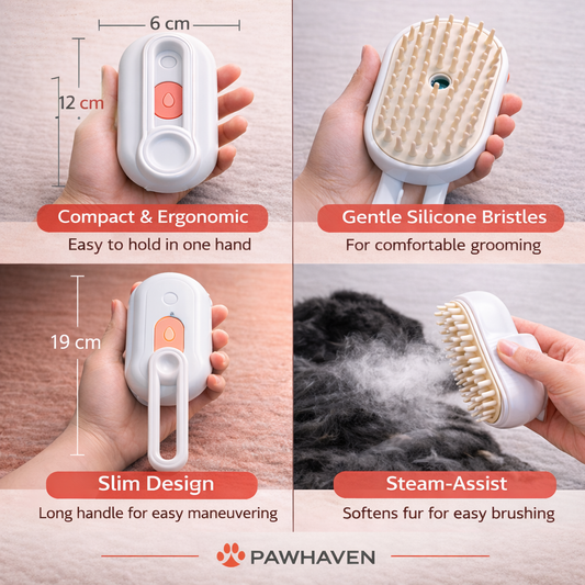 The Brush Dogs Don’t Fight.