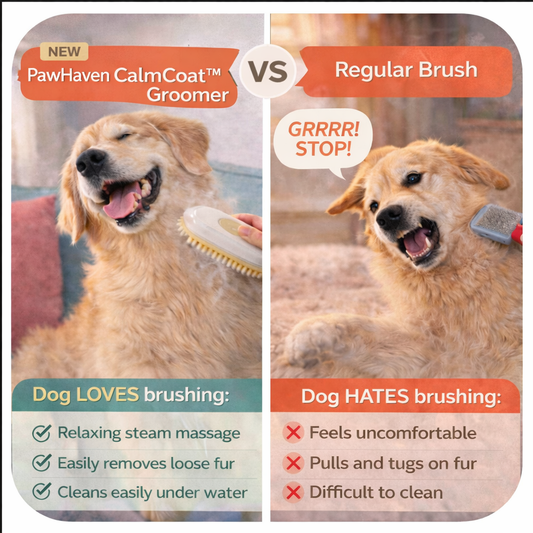 The Brush Dogs Don’t Fight.